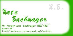 mate bachmayer business card